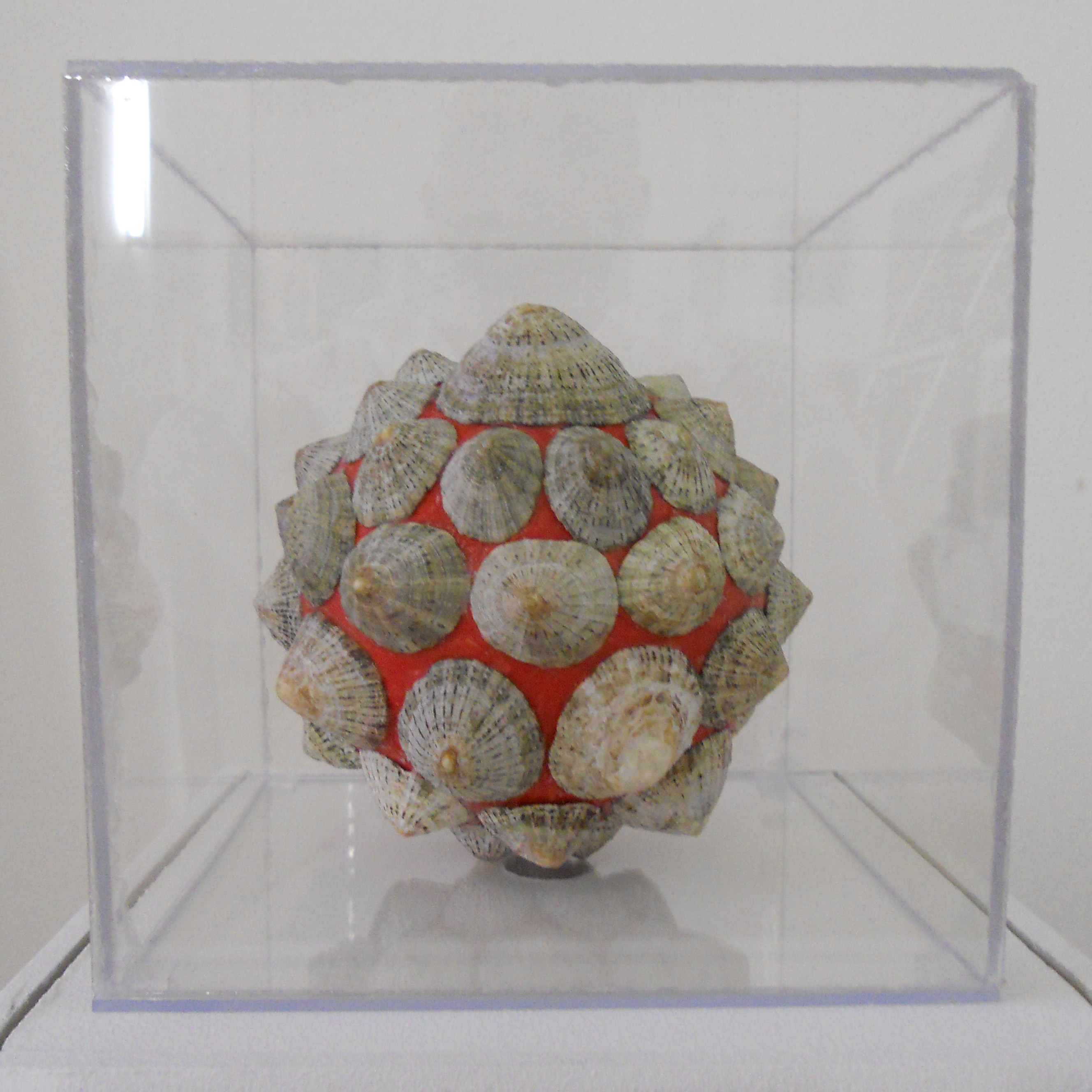 MW 24 (Hohe Aufl&ouml;sung)